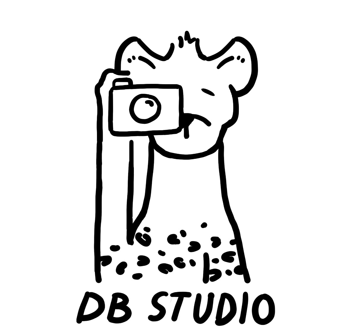 DB Studio